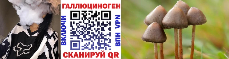 Галлюциногенные грибы Psilocybe  Ялуторовск 