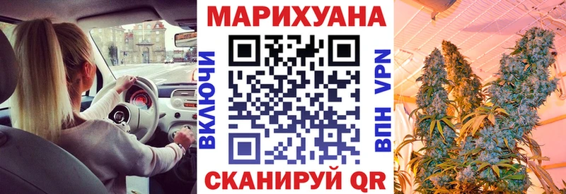Шишки марихуана планчик как найти наркотики Ялуторовск
